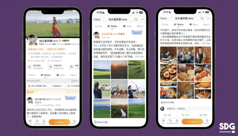 Nono 抬头看风景 Chinese Travel KOL