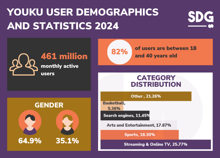 Youku user demographic China 2024